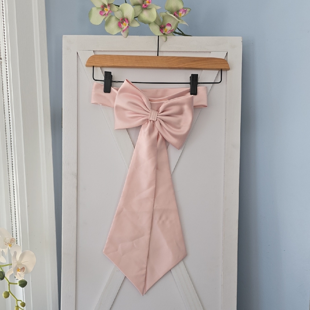 Host PICK! David's Bridal Light Pink Girls Formal Dress Sash